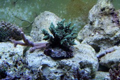 Killikus&reg; Fotographie